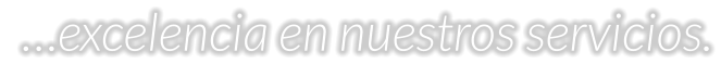 …excelencia en nuestros servicios.